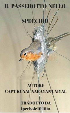 Cover Il passerotto nello specchio (eBook, ePUB)