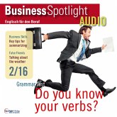 Business-Englisch lernen Audio - Informationen zusammenfassen (MP3-Download) Business-Englisch lernen Audio - Informationen zusammenfassen (MP3-Download)
