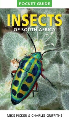Cover Pocket Guide to Insects of South Africa (eBook, PDF)