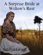 A Surprise Bride in Willow's Rest (Mail... - Bild 1