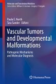 Vascular Tumors and Developmental Malformations (eBook, PDF)
