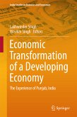 Economic Transformation of a Developing Economy (eBook, PDF)