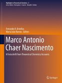 Marco Antonio Chaer Nascimento (eBook, PDF)