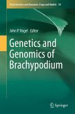 Genetics and Genomics of Brachypodium (eBook, PDF)
