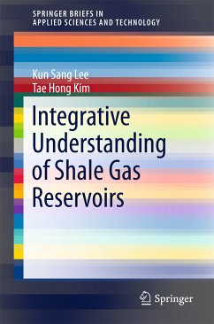 Integrative Understanding of Shale Gas Reservoirs (eBook, PDF) - Lee, Kun Sang; Kim, Tae Hong