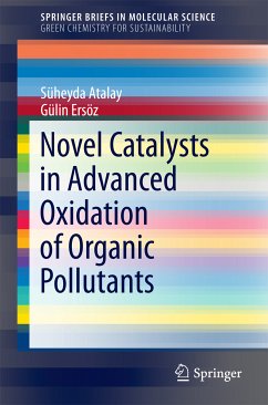 Novel Catalysts in Advanced Oxidation of Organic Pollutants (eBook, PDF) - Atalay, Süheyda; Ersöz, Gülin