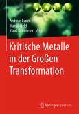 Kritische Metalle in der Großen Transformation (eBook, PDF)