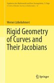 Rigid Geometry of Curves and Their Jacobians (eBook, PDF)