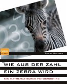 Wie aus der Zahl ein Zebra wird (eBook, PDF)