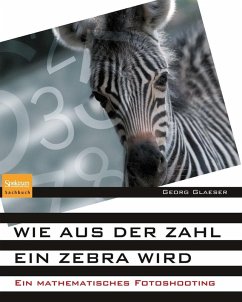 Wie aus der Zahl ein Zebra wird (eBook, PDF) - Glaeser, Georg