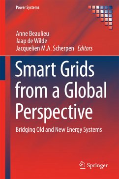 Smart Grids from a Global Perspective (eBook, PDF)