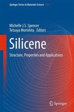 Silicene (eBook, PDF)