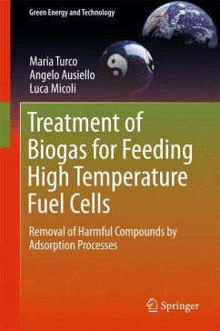 Treatment of Biogas for Feeding High Temperature Fuel Cells (eBook, PDF) - Turco, Maria; Ausiello, Angelo; Micoli, Luca