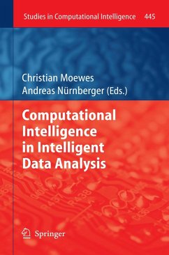 Computational Intelligence in Intelligent Data Analysis (eBook, PDF)