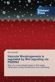 Vascular Morphogenesis is regulated by Wnt signaling via PDZRN3