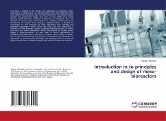 Introduction in to principles and design of meso-bioreactors