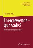 Energiewende - Quo vadis? (eBook, PDF)