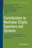 Contributions to Nonlinear Elliptic Equations and Systems (eBook, PDF)