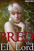 Bred by the Elf Lord (Bred in the Elf Kingdom, #1) (eBook, ePUB)