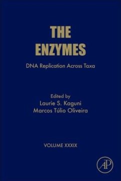 DNA Replication Across Taxa