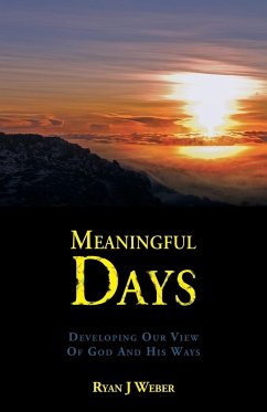 Meaningful Days - Weber, Ryan J