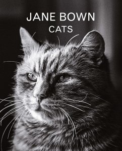 Jane Bown: Cats - Bown, Jane