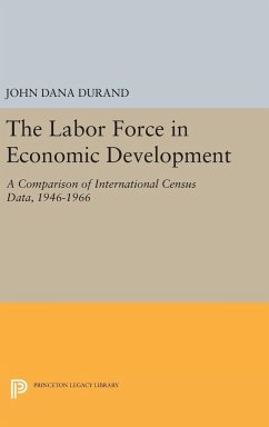 The Labor Force in Economic Development - Durand, John Dana