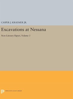Excavations at Nessana, Volume 3