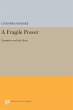 A Fragile Power - Bild 1