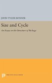 Size and Cycle