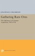 Gathering Rare Ores - Bild 1