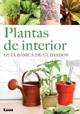 Plantas de Interior: Guía Básica de Cuidados