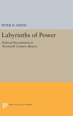 Labyrinths of Power - Smith, Peter H.