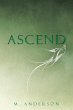 Ascend - Bild 1