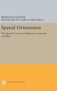 Spatial Orientation - Schone, Hermann