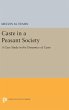 Caste in a Peasant Society - Bild 1