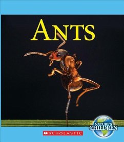 Ants - Gregory, Josh