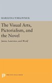 The Visual Arts, Pictorialism, and the Novel