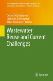 Wastewater Reuse and Current Challenges (eBook, PDF)