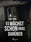 Es wächst schon Gras darüber (eBook, ePUB)