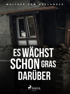 Es wächst schon Gras darüber (eBook, ePUB) - Hollander, Walther von