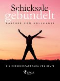 Schicksale gebündelt (eBook, ePUB)