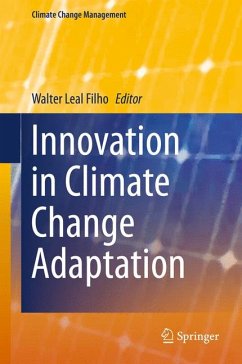 Innovation in Climate Change Adaptation (eBook, PDF)