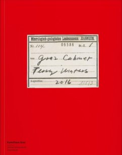 Cover Das Kabinett des Malers Terry Winters