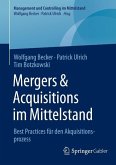 Mergers & Acquisitions im Mittelstand (eBook, PDF)