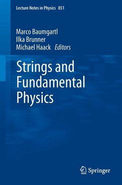 Cover Strings and Fundamental Physics (eBook, PDF)