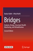 Bridges (eBook, PDF)