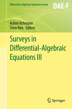 Surveys in Differential-Algebraic Equations III (eBook, PDF)