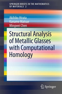 Structural Analysis of Metallic Glasses with Computational Homology - Hirata, Akihiko;Matsue, Kaname;Chen, Mingwei