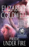 Pride Under Fire (eBook, ePUB) Pride Under Fire (eBook, ePUB)